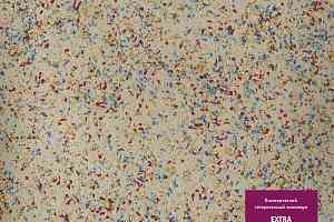 Линолеум Tarkett Extra VIVID 12 фото  | FLOORDEALER